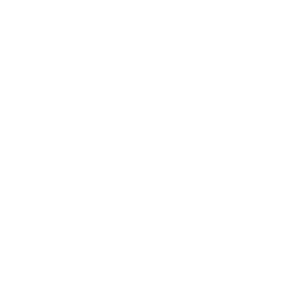 ICON-WHITE
